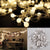 100M 600 LED Matte Globes Merry Ball Fairy String Lights Lamps Bulbs Wedding Party Christmas Garden Outdoor Indoor Decoration