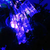 SZYOUMY LED Photo Clip String Lights 20 Photo Clips Perfect for Hanging Photos/ Pictures/Notes/Paintings Card and Memos Hot 100p