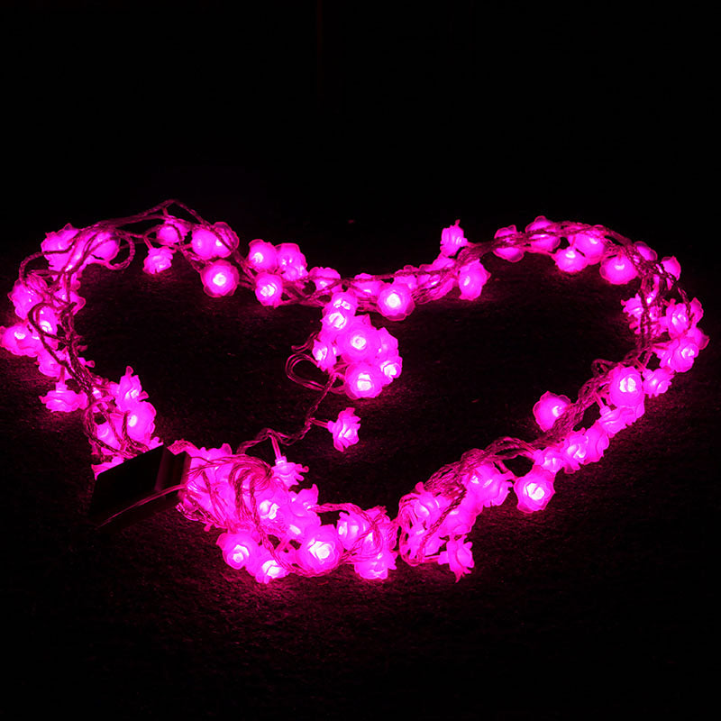 Holiday lights waterproof outdoor LED lights flashing LED twinkle light rose propose romantic birthday party Wedding 30M
